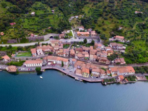 Marone